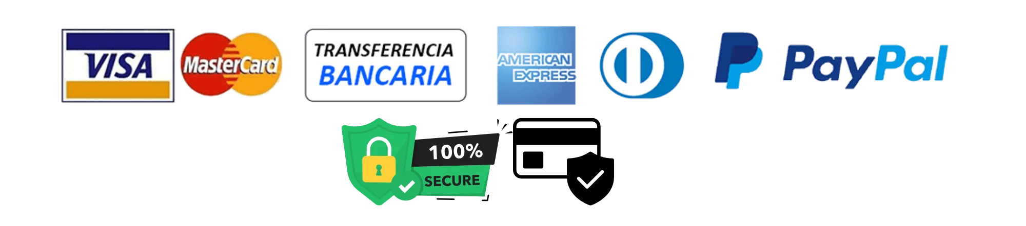 PAGO SEGURO (1)